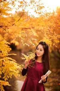 爱的修学旅行免费
